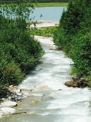 Apart Daire, Birden Çok Yatak