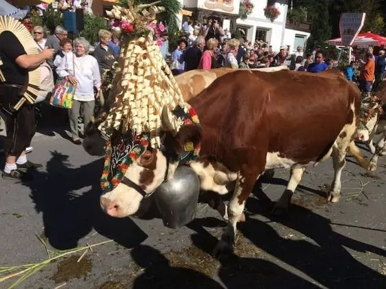Apart Daire, Birden Çok Yatak