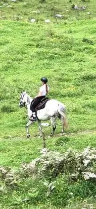 Apart Daire, Birden Çok Yatak