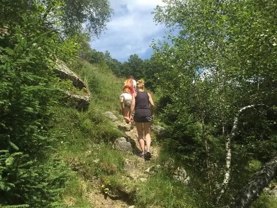 Apart Daire, Birden Çok Yatak