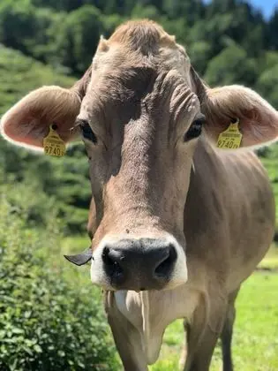 Apart Daire, Birden Çok Yatak