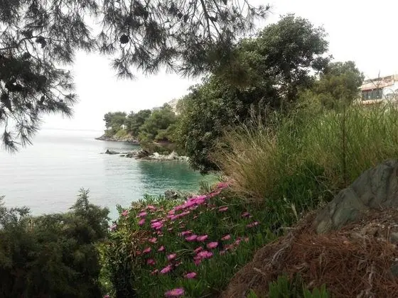 Apart Daire, Birden Çok Yatak