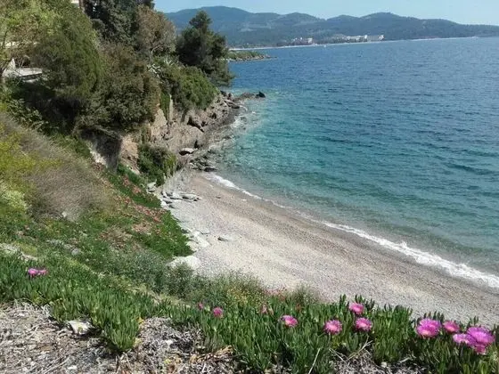 Apart Daire, Birden Çok Yatak