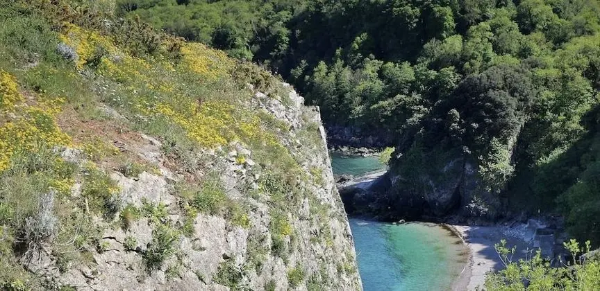 Apart Daire, Birden Çok Yatak