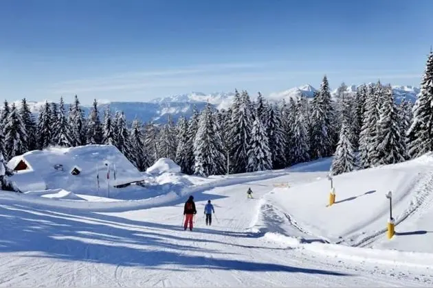 Apart Daire, Birden Çok Yatak