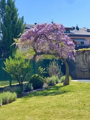 Apart Daire, Birden Çok Yatak