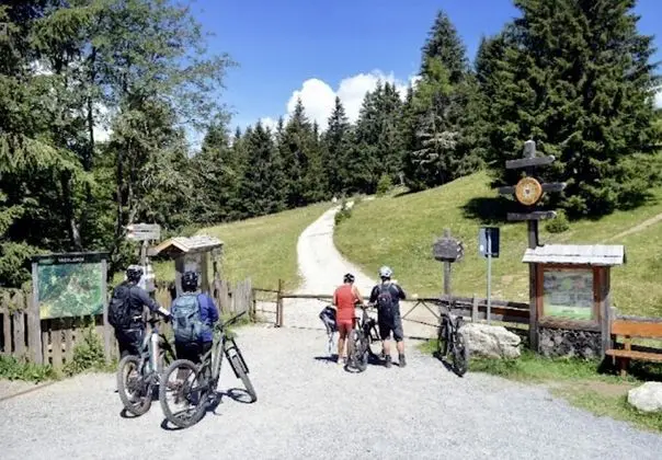 Apart Daire, Birden Çok Yatak