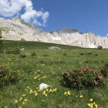 Apart Daire, Birden Çok Yatak