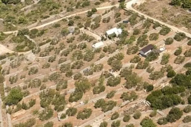 Kır Evi, 1 Büyük (Queen) Boy Yatak