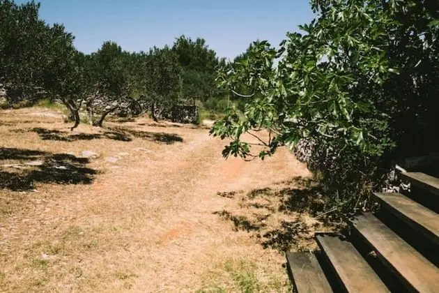 Kır Evi, 1 Büyük (Queen) Boy Yatak