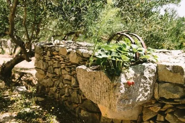 Kır Evi, 1 Büyük (Queen) Boy Yatak