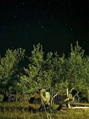 Kır Evi, 1 Büyük (Queen) Boy Yatak