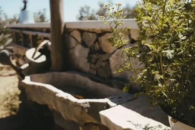 Kır Evi, 1 Büyük (Queen) Boy Yatak