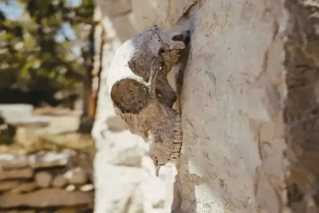 Kır Evi, 1 Büyük (Queen) Boy Yatak