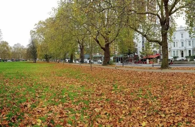 Apart Daire (1 Bedroom)