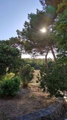 Apart Daire, 2 Büyük (Queen) Boy Yatak