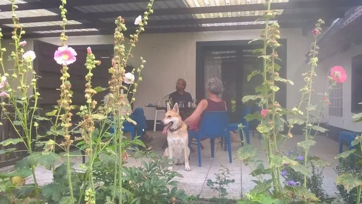 Ev, Birden Çok Yatak