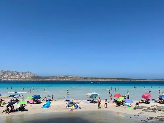 Ev, 1 Büyük (Queen) Boy Yatak ve Çekyat