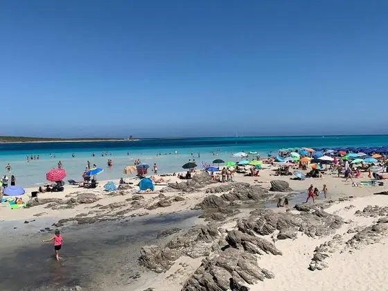 Ev, 1 Büyük (Queen) Boy Yatak ve Çekyat