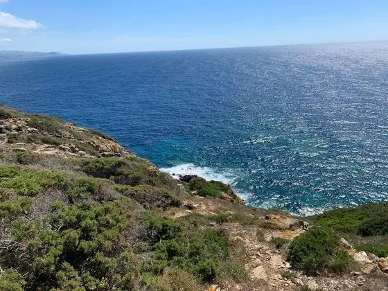 Ev, 1 Büyük (Queen) Boy Yatak ve Çekyat