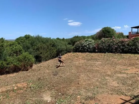 Ev, 1 Büyük (Queen) Boy Yatak ve Çekyat