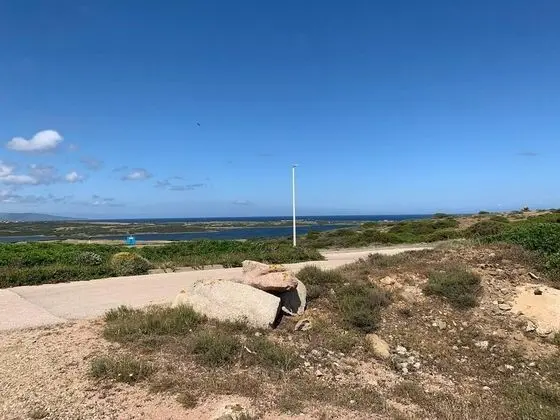 Ev, 1 Büyük (Queen) Boy Yatak ve Çekyat