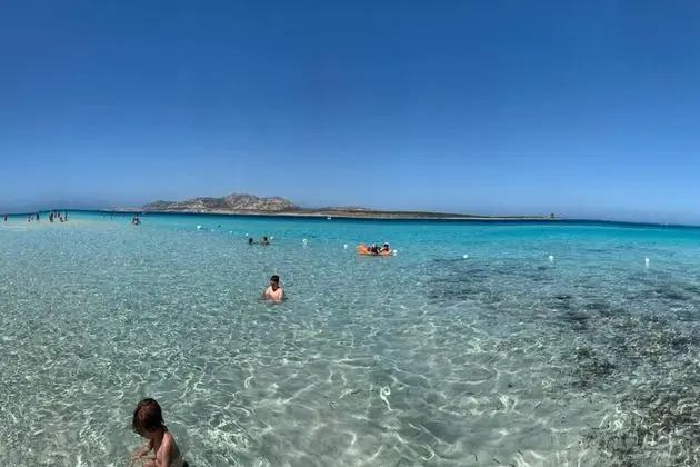 Ev, 1 Büyük (Queen) Boy Yatak ve Çekyat