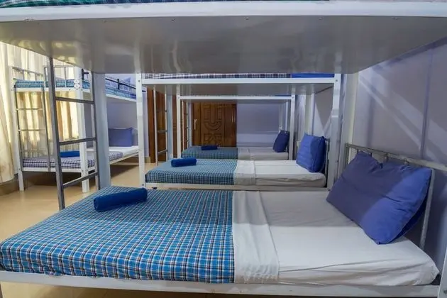 Deluxe 8 Beds Mixed Dorm