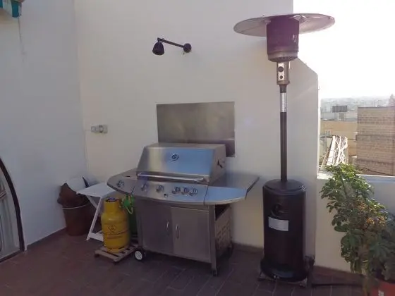 Apart Daire, 2 Yatak Odası, Teras