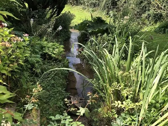 Kır Evi, Birden Çok Yatak