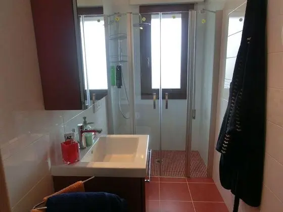 Apart Daire, 1 Yatak Odası, Teras