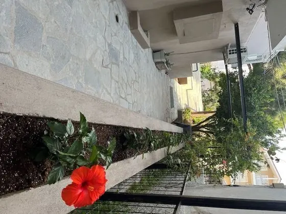 Oda, 1 Yatak Odası, Sigara İçilebilir, Balkon