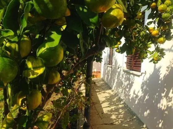 Apart Daire, 2 Yatak Odası, Teras
