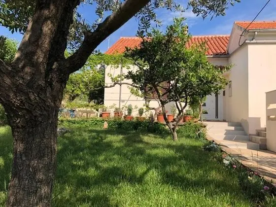 Apart Daire, 2 Yatak Odası, Teras