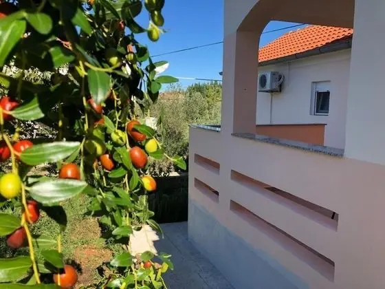 Apart Daire, 2 Yatak Odası, Teras
