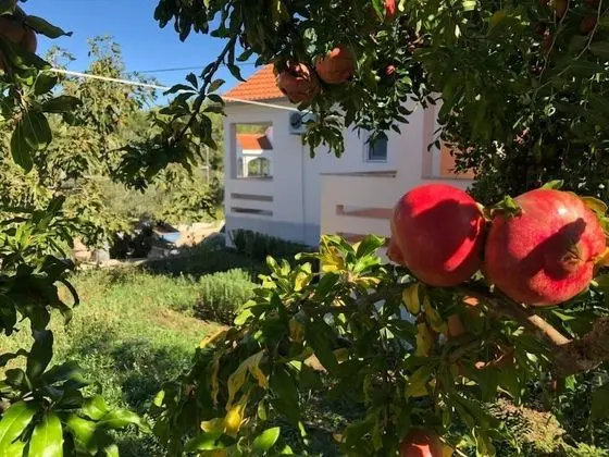 Apart Daire, 2 Yatak Odası, Teras