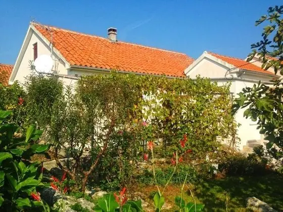 Apart Daire, 2 Yatak Odası, Teras