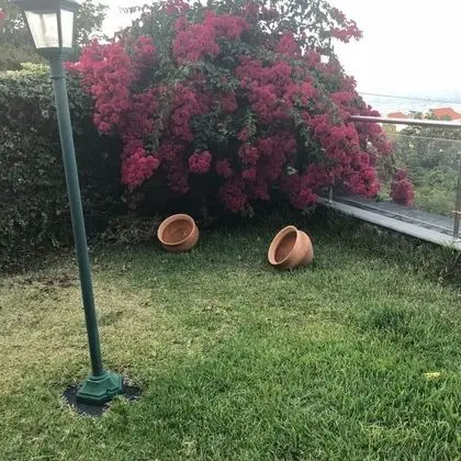 Ev, Birden Çok Yatak