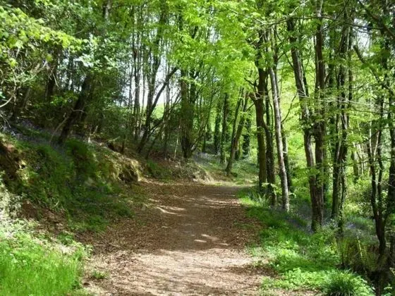 Apart Daire, Birden Çok Yatak