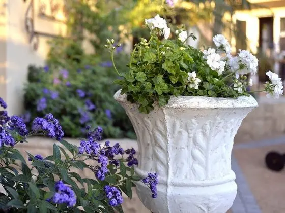 Ev, 3 Yatak Odası, Şömine