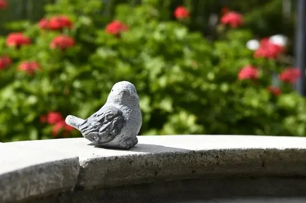 Ev, 3 Yatak Odası, Şömine