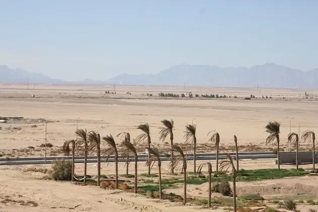 Apart Daire, 1 Büyük (Queen) Boy Yatak