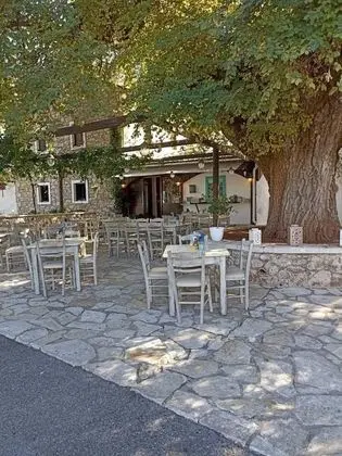 Stüdyo, 1 Büyük (Queen) Boy Yatak ve Çekyat