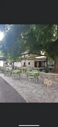 Stüdyo, 1 Büyük (Queen) Boy Yatak ve Çekyat