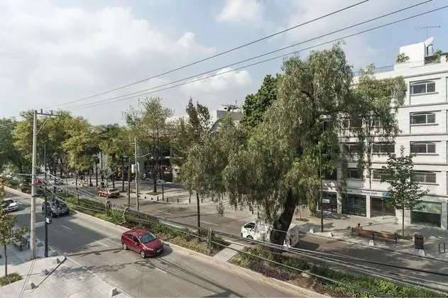 Design Çatı Katı (Loft), 3 Yatak Odası, Sigara İçilmez