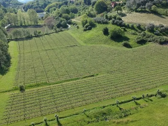 Comfort Dört Kişilik Oda