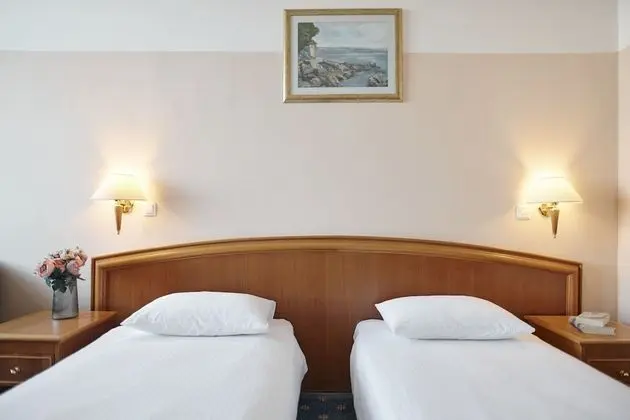 Standard Double or Twin Room with Street View