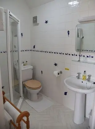 Superior Tek Büyük Yataklı Oda, Banyolu/Duşlu