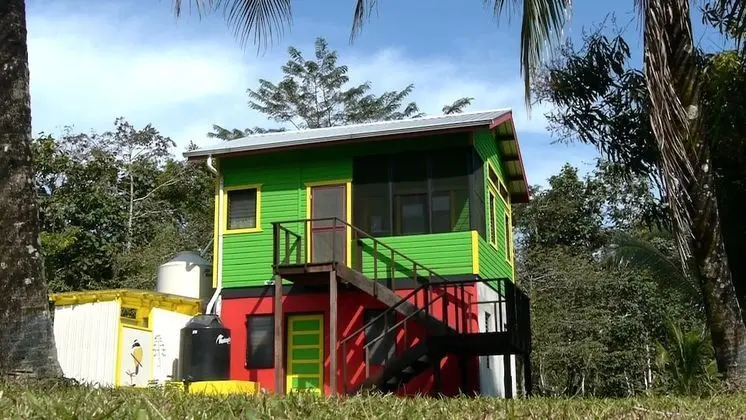 Rasta Suite