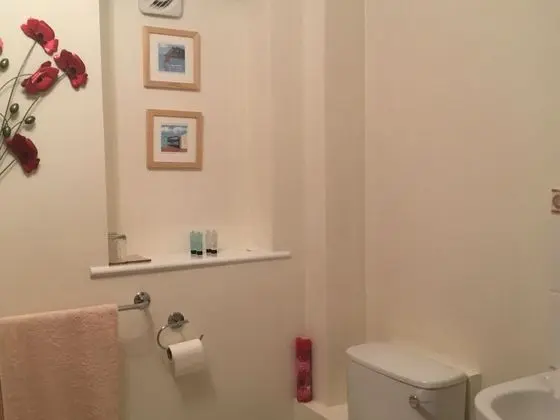 Tek Büyük veya İki Ayrı Yataklı Oda, Özel Banyo